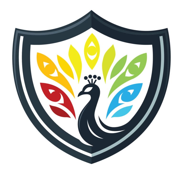 Argus Pro’s Aegis Compass Framework™: A Powerful Ally for Financial Institutions