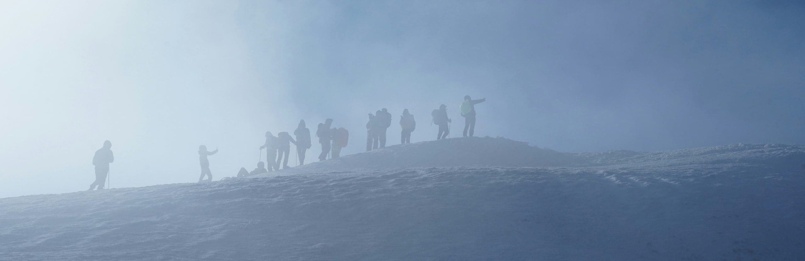 olena-kamenetska-w9Pl8dk3kmU-unsplash